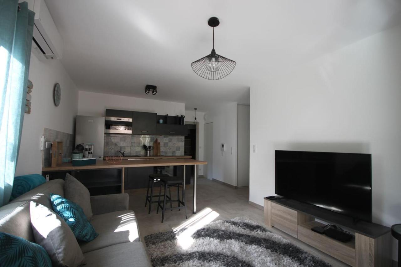 Appartement Mise Au Vert En Ville *